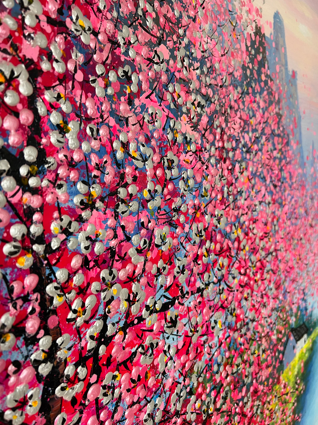 Cherry Blossom